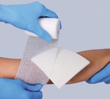 Medisorb P PLUS